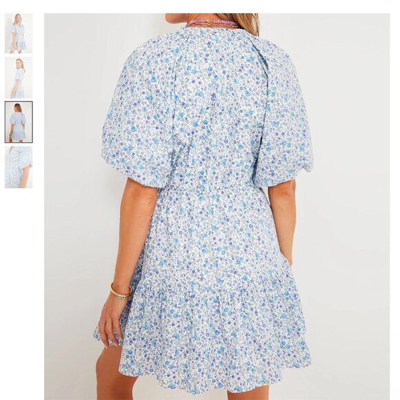 Hyacinth House Blue Ditsy Floral Loren Mini Dress - Picture 4 of 7